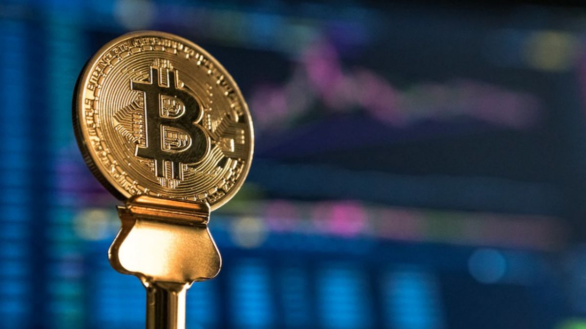 Pemegang Bitcoin Jangka Panjang Meningkat Signifikan Sejak Keruntuhan FTX