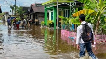 Sungai Kapuas Meluap, Rumah Warga di Pontianak Terendam dengan Ketinggan 5-10 Sentimeter