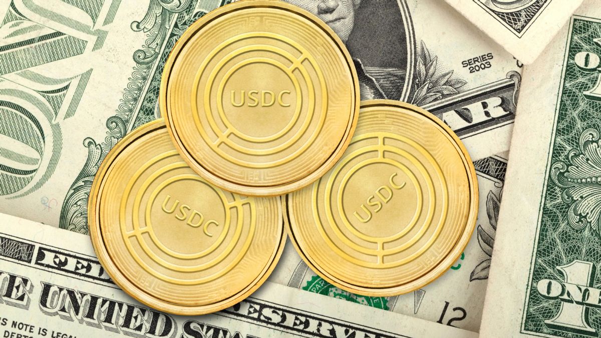 USDC Stablecoin Boss Doesn't Want Risk If US Fails To Pay Debt