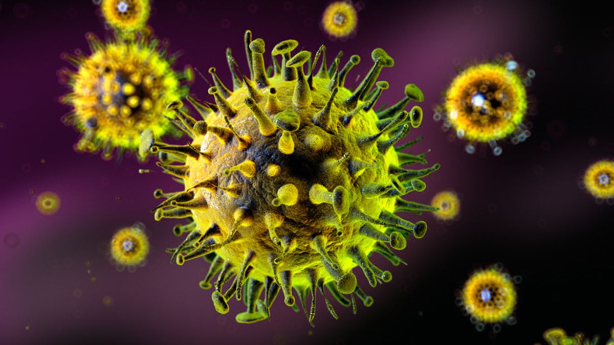 Hantavirus Mulai Terdeteksi di Berbagai Negara, WHO Beri Penjelasan