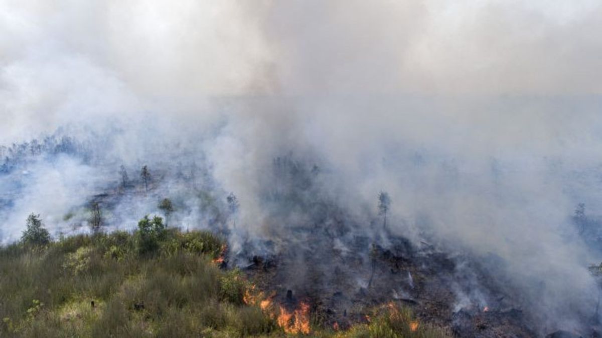 BNPB:南スマトラの森林火災と陸上火災の煙が制御されています