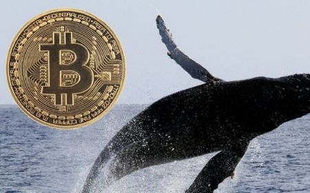 Whale Bitcoin Mulai Bangkit Setelah Tidur Selama Enam Tahun, Pindahkan 1.177 BTC Senilai Rp458 Miliar