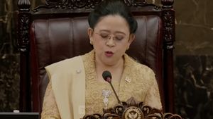 Puan Maharani Singgung Kehadiran Negara, Selama Ini Selalu Menunggu Viral fo Justice