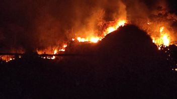 Tim Gabungan Buka Jalur Pemadaman Api di Lereng Gunung Jayanti Sukabumi
