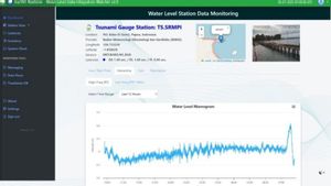 Gelombang Tsunami 19 Cm Terdeteksi di Papua, BMKG Minta Warga Waspada Jauhi Pantai