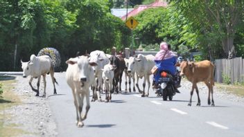 タンゲラン市のすべての牛のブリーダーは、家畜のFMDを防ぐために集まります