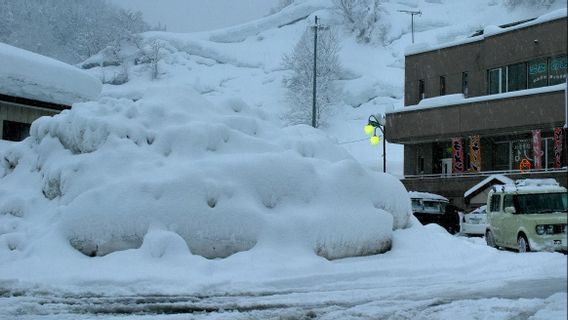 西日本降雪记录：四人受伤，陆地和空中交通中断