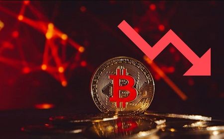 Bitcoin Crash Sebabkan Rp5,7 Kuadriliun Lenyap dari Pasar Kripto, Pilih Hodl atau Save IDR?