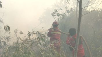 ライウ州の4つの火災点はまだ燃え続けており、合同チームは火を消すために戦っています