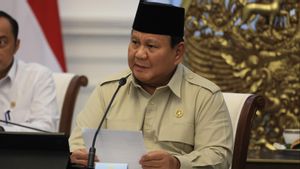 Prabowo Kaji Ulang Mandat RI di Board of Peace Pascaserangan AS-Israel
