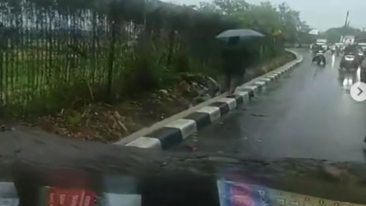 Pohon Angsana di Jalan Raya Pondok Cabe Tumbang, Satu Orang Pemotor Luka-luka