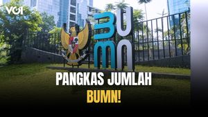 Pangkas Jumlah BUMN, Prabowo Subianto Buka Kesempatan Profesional Asing Pimpin BUMN