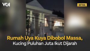 Rumah Uya Kuya Digeruduk Massa, Harta Benda Dijarah, Kucing Peliharaan Ikut Diambil