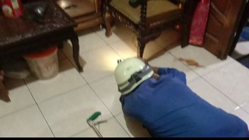 Panic! A Family In Cipayung, East Jakarta, Shouts Hysterically When A 1.5-meter Lizard Enters The House