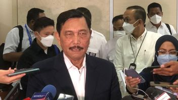 Luhut Claims Golkar Is Fine After Airlangga's Resignation