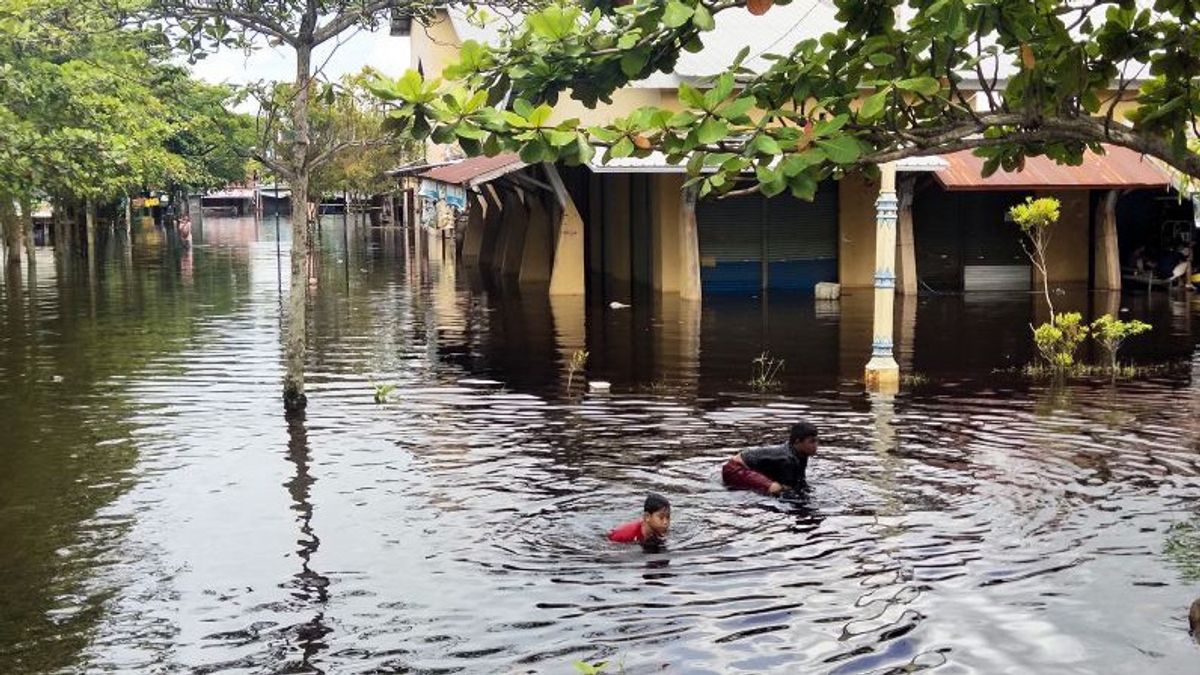 31.013 Warga di Palangka Raya Terdampak Banjir