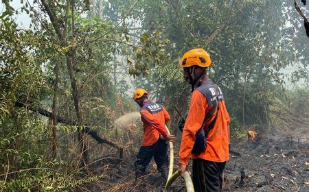 BPBD Berjibaku Padamkan Karhutla di Kubu Raya Kalbar Dekat Pemukiman