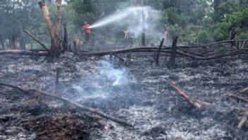 33 Titik Karhutla Terdeteksi di 4 Kecamatan Tanah Laut Kalsel