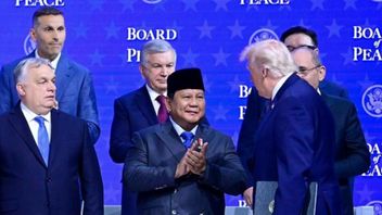 Board of Peace Diperdebatkan, MUI Tekankan Palestina, Jusuf Hamka Bicara Strategi