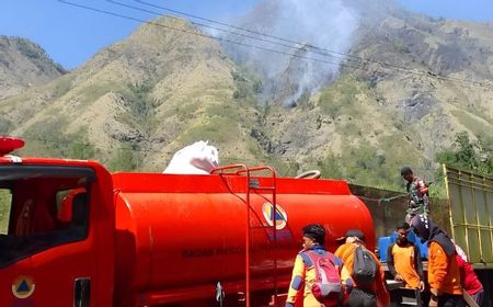 Karhutla Habisi 60 Hektare Perkebunan di Banggai Sulteng Tadi Malam, Si Jago Merah Masih Belum Padam