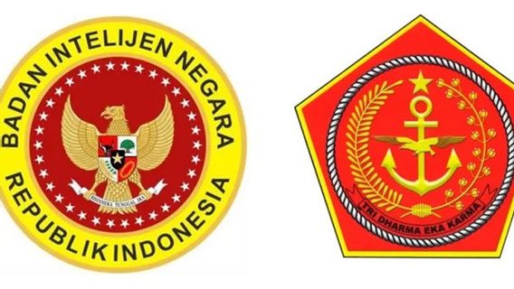 Cegah Tumpang Tindih Kewenangan, BAIS dan BIN Sebaiknya Disatukan