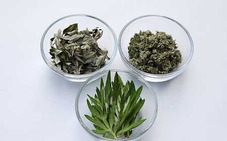 Mengenal Manfaat Mugwort, Tanaman Serupa Rumput Liar yang Bisa Cegah Penuaan Kulit