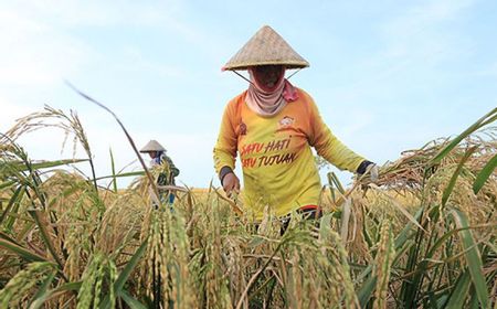 Bapanas Komitmen Tingkatkan Kesejahteraan Petani dan Peternak