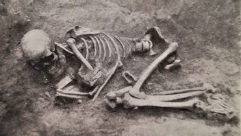 スリランカで141本の人骨とベビーボトルが発見された、旧戦争の集団墓地と疑われる