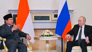 Prabowo Temui Putin di Rusia, DPR Harap RI Berperan Aktif dalam Diplomasi Global
