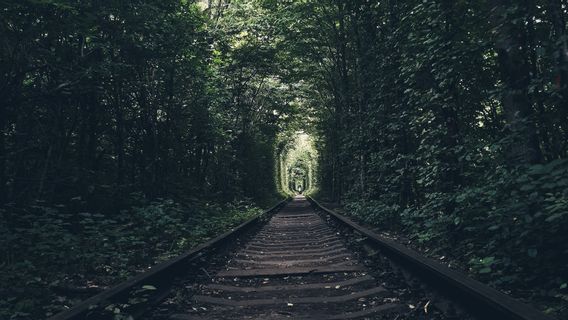 <i>Tunnel of Love</i> di Ukraina, Destinasi Romantis yang Kurang Dikenal Dunia