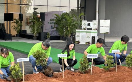 Tren Pusat Perbelanjaan Ramah Lingkungan dengan Penanaman Pohon Pucuk Merah