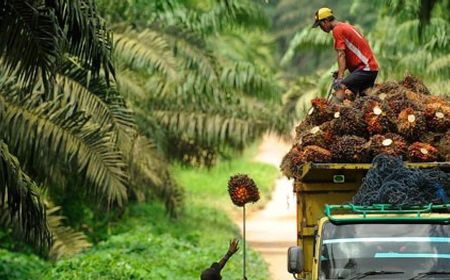 Indonesia Punya Peran Strategis Dukung Ketersediaan Pangan dan Energi Global melalui Minyak Sawit