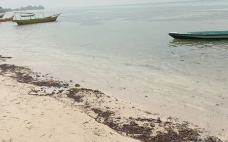 Pulau Pari Tercemar Tumpahan Minyak Mentah, Penyebabnya Sedang Ditelusuri