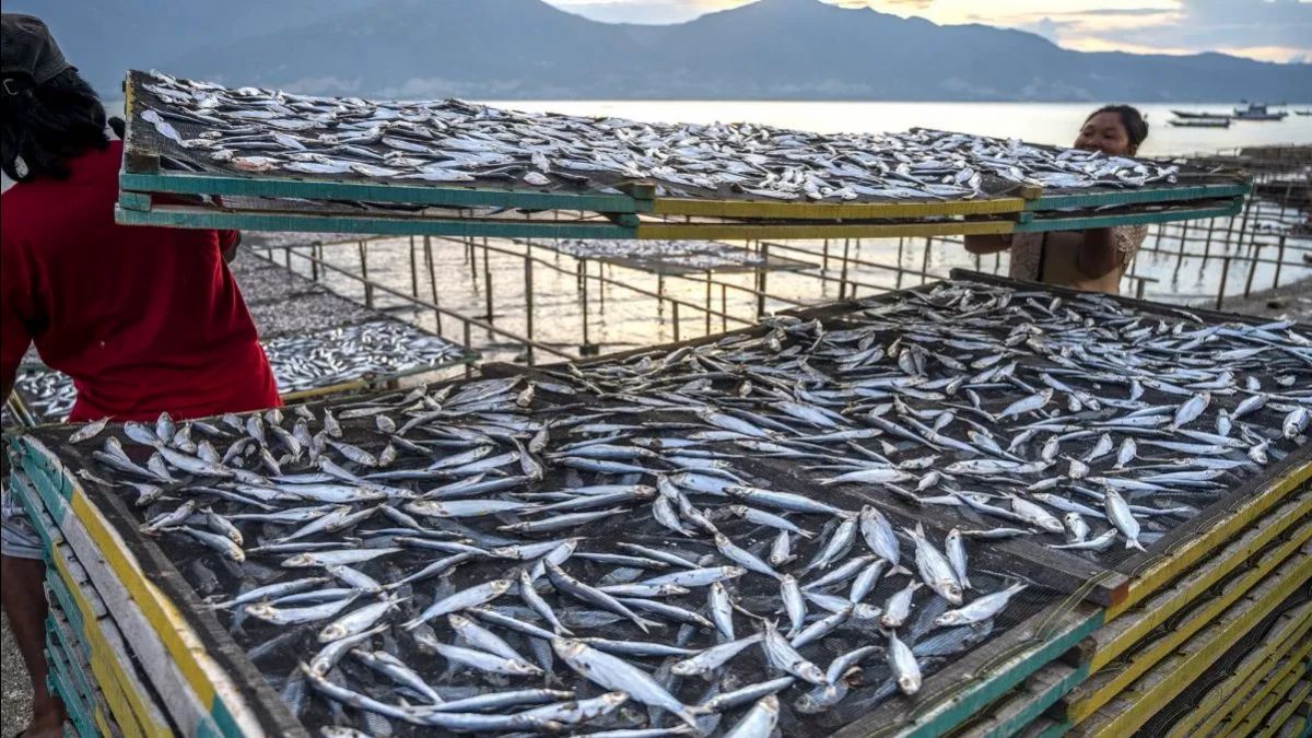 これは、海洋・漁業部門が赤と白のコプデスになることを奨励するKKPの専攻です。