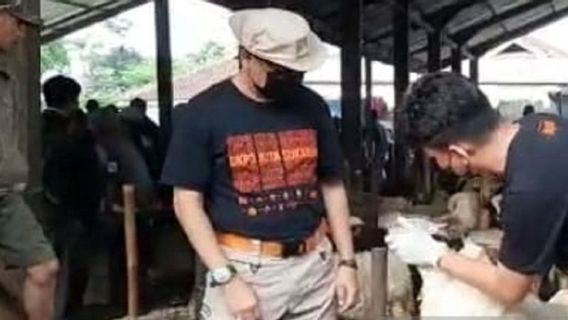 Warga Sukabumi Jangan Panik! Penyakit Mulut dan Kuku Hewan Tak Menular ke Manusia