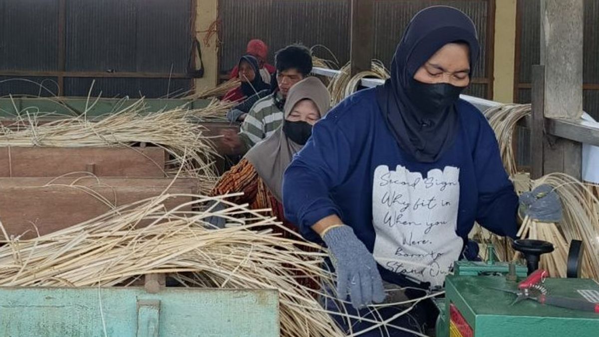 الاقتصاديون في الأمم المتحدة: تنفيذ الزراعة العضوية يمكن أن يسرع من تقدم الصناعة الزراعية