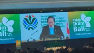 Menteri LHK: Es di Puncak Cartenz akan Habis pada 2026