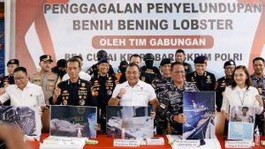 Bareskrim Polri Gagalkan Penyelundupan 151 Ribu Benih Lobster Senilai Rp15 Miliar di Perairan Bintan