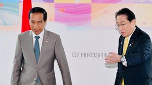 Presiden Jokowi Temui PM Jepang Fumio Kishida, Apa yang Dibahas?