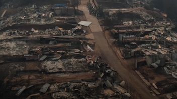  Kebakaran Hutan di Chili Menewaskan 51 Orang dan Mengancam Wilayah Perkotaan