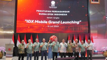 IDX Mobile IDX Officially Launches IDX