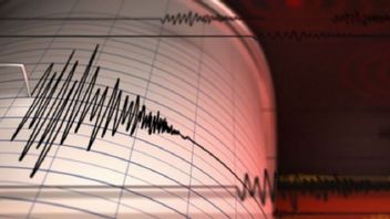 Akibat Gempa 4,8 Magnitudo, 27 Sekolah di Bangli Rusak 
