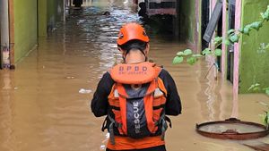 Catatan BPBD, Genangan Banjir akibat Curah Hujan dan Luapan Kali Ciliwung Bertambah Jadi 42 RT di Sejumlah Wilayah Kota Jakarta