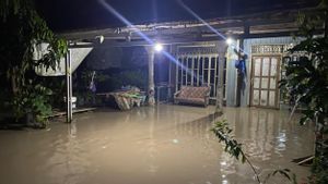 BNPB Catat Rentetan Bencana Sehari: Banjir hingga Karhutla Meluas di Riau