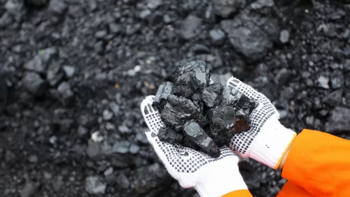 Will Operate New Mining, ITMG Aims For Production Of 1 Million Tons Of Coal
