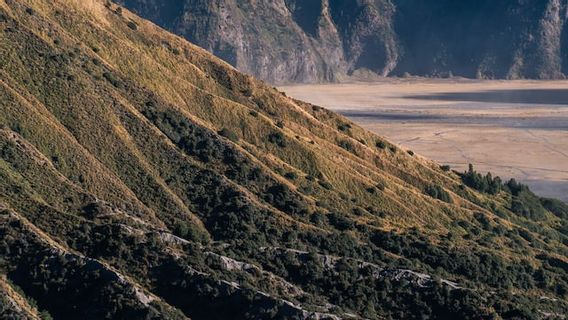 LowLANDs On The Island Of Java From Eastern Java To The West