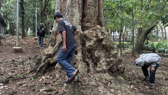 Jagat コイン・ハンティングのトレンドは構造的問題であり、単なる公共施設の破壊行為ではない