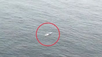 SAR团队在马诺夸里水域发现的发动机死船