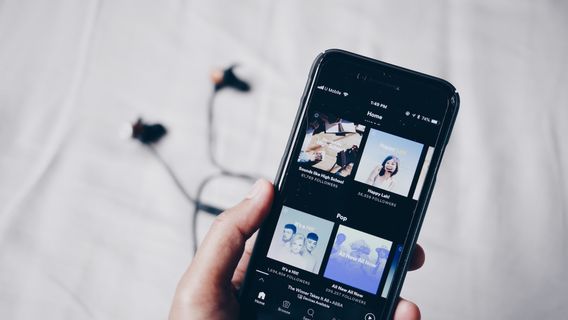 何百曲ものボリウッドポピュラーソングがSpotifyプレイリストから削除されました, 炎上したファンの