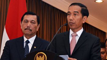 Jokowi Spray Luhut About Investment, Why?